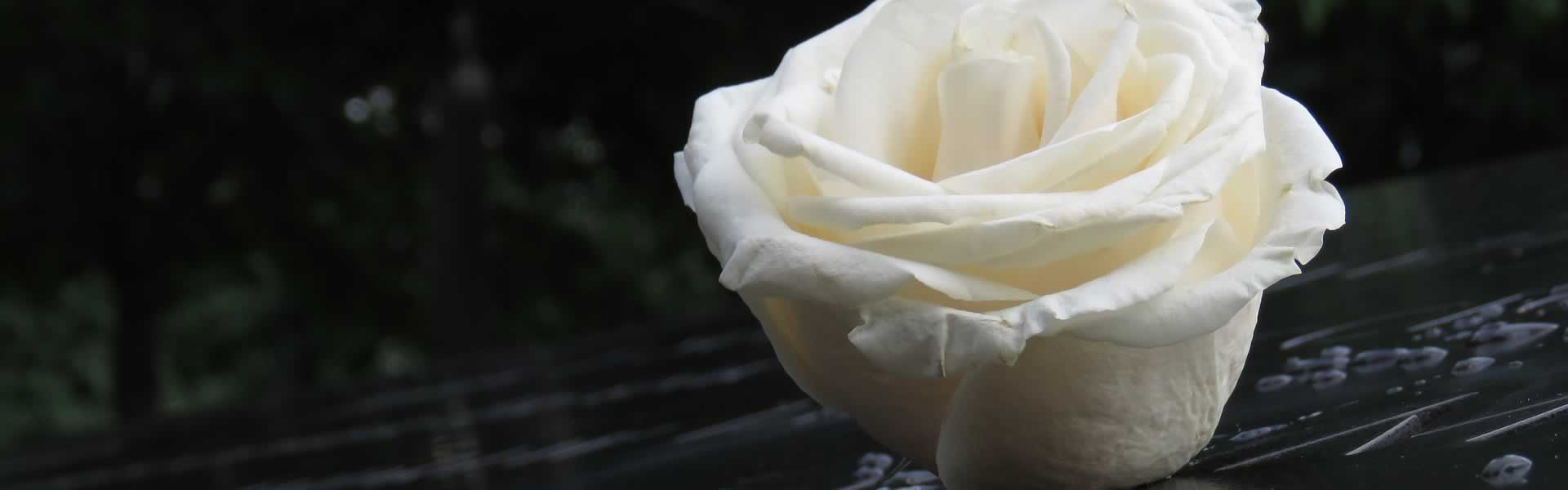 Fiore per decorazione lapide